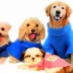 Snuggie for Dogs 3