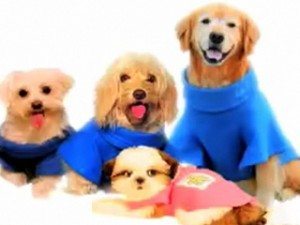 Snuggie for Dogs 3