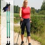 Balance Walking- Nordic Pole