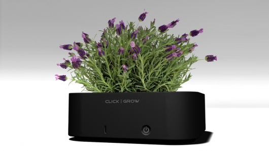 Click and Grow - Horticulture Meets USB