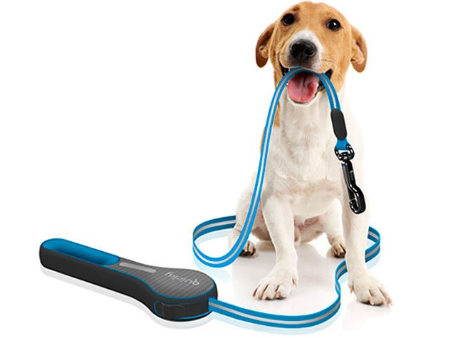 Kosoku Dog Leash by Quirky