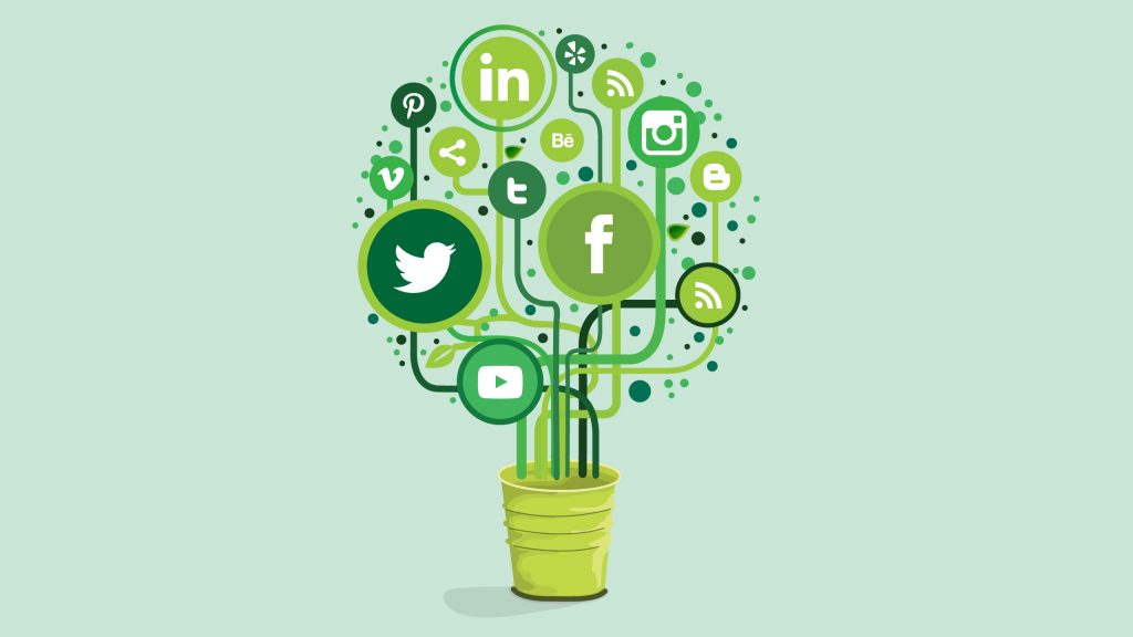 7 Genius Social Media Strategies For Your Cannabis Business that work