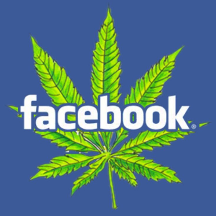 7 Genius Social Media Strategies For Your Cannabis Business grow your business