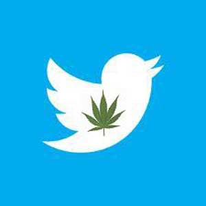 7 Genius Social Media Strategies For Your Cannabis Business 6