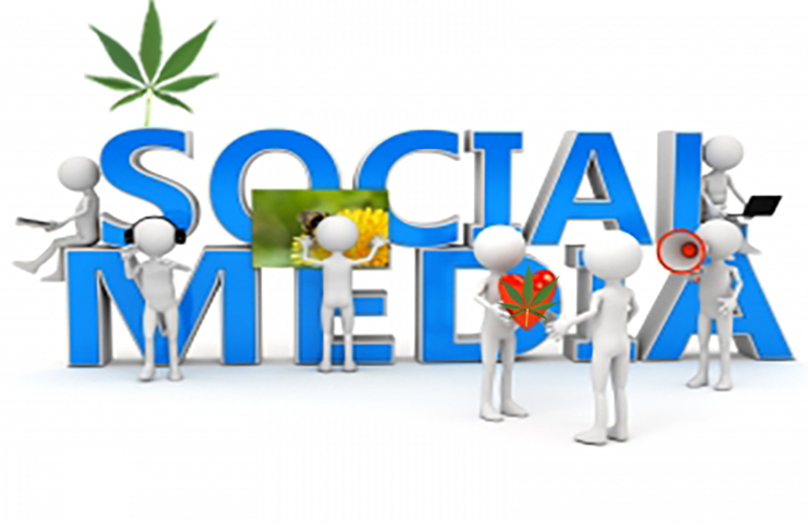 7 Genius Social Media Strategies For Your Cannabis Business