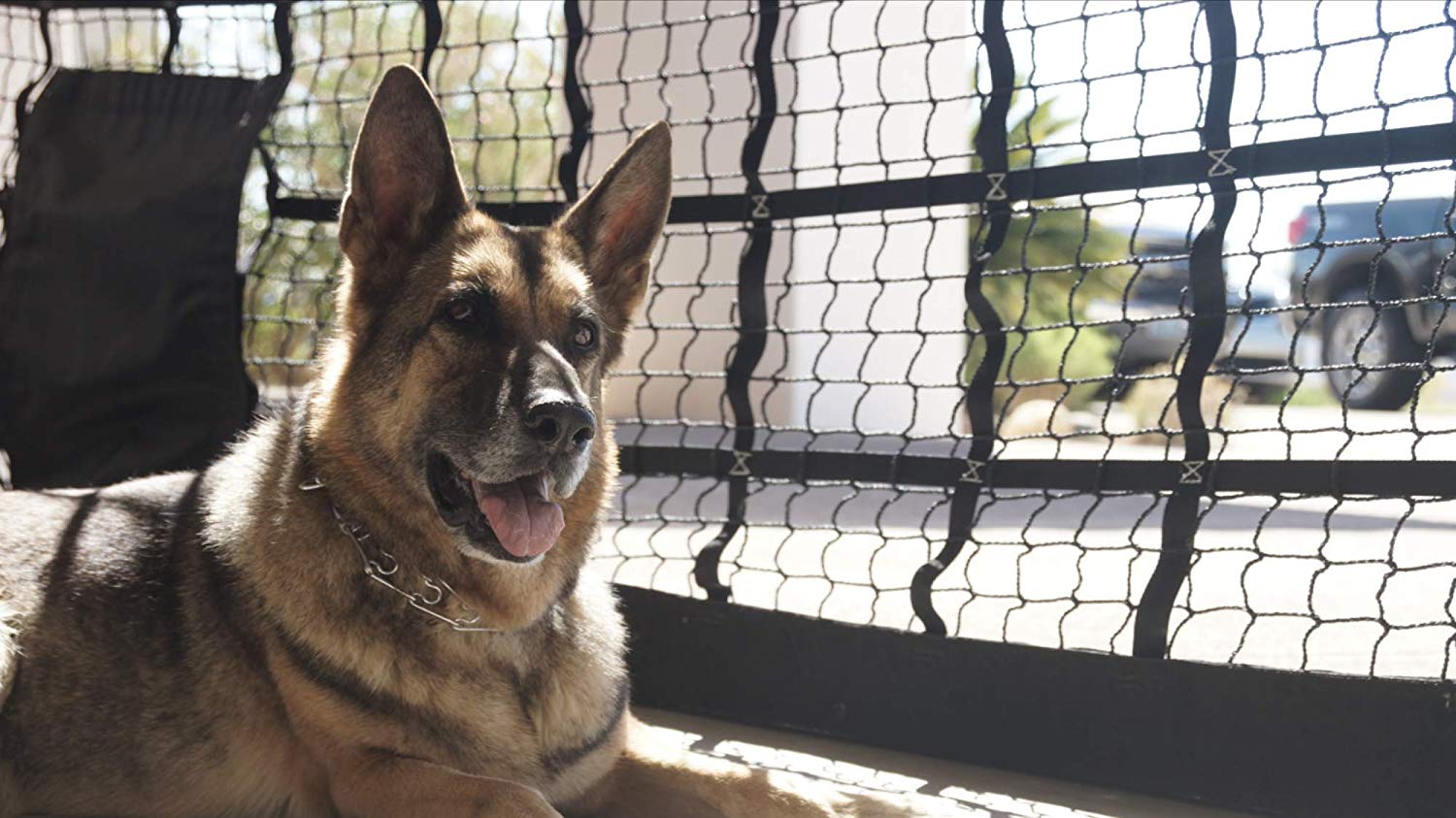 Simple Garage Door Kennel Net with Best Design