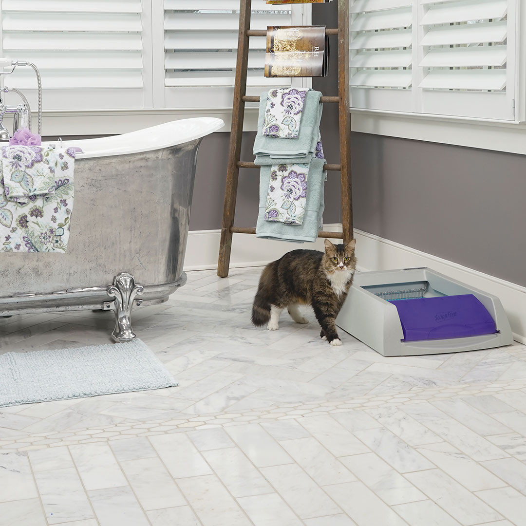 PetSafe ScoopFree Self-Cleaning Cat Litter Box