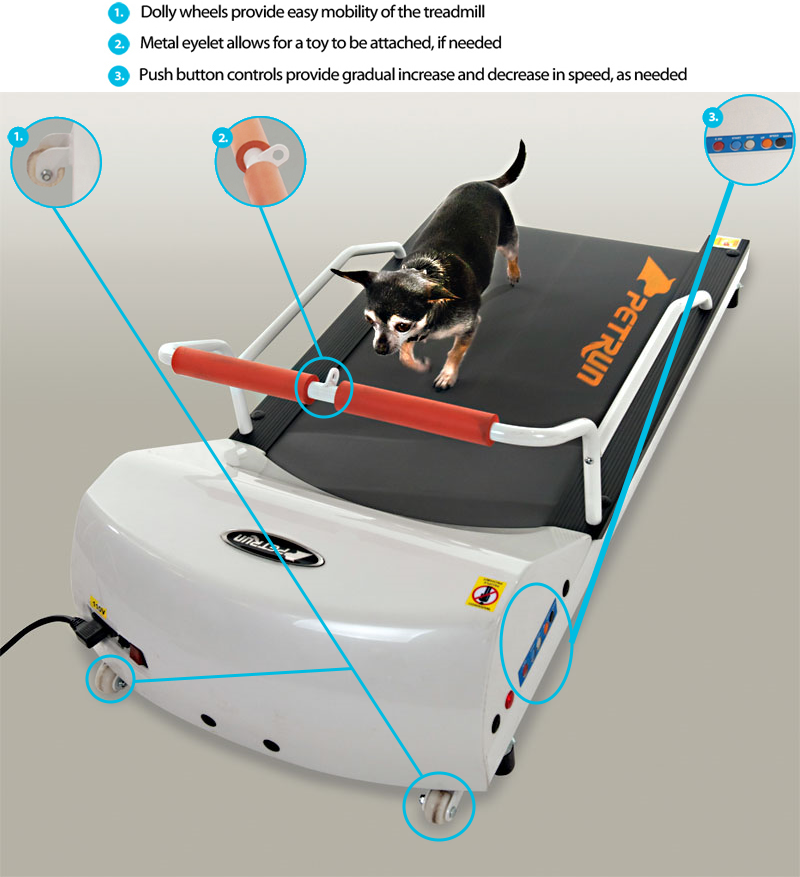 GoPet PetRun PR700 TreadMill Easy Controls