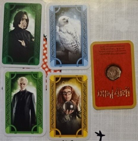 Harry Potter Labyrinth Cards (1)