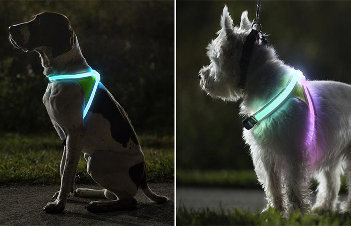 Noxgear LightHound dog vest