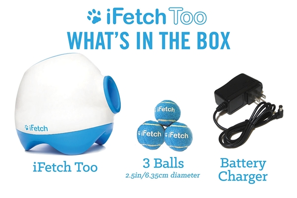iFetch Too Balls and AC Charger