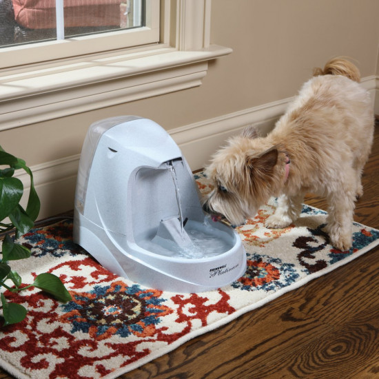 PetSafe Drinkwell Platinum Pet Fountain Main