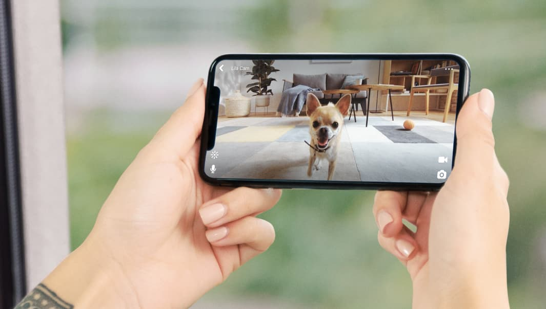 Petcube 2 HD Video Features