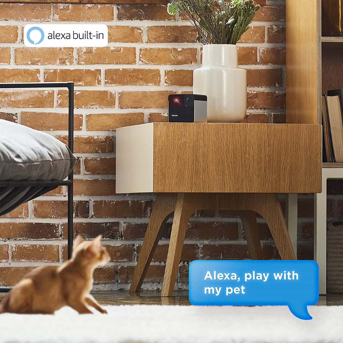 Petcube 2 Alexa Integration