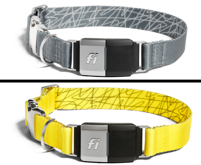 Fi Smart Dog Collar