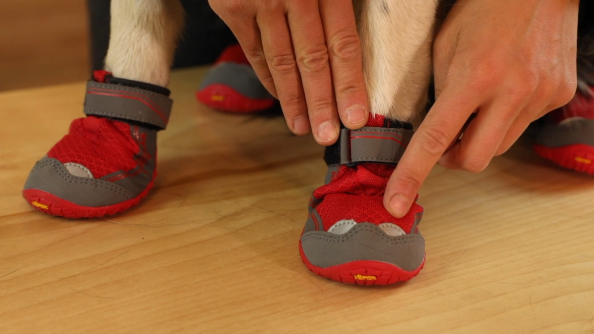 Grip Trex Dog Boots - Reflective Trim