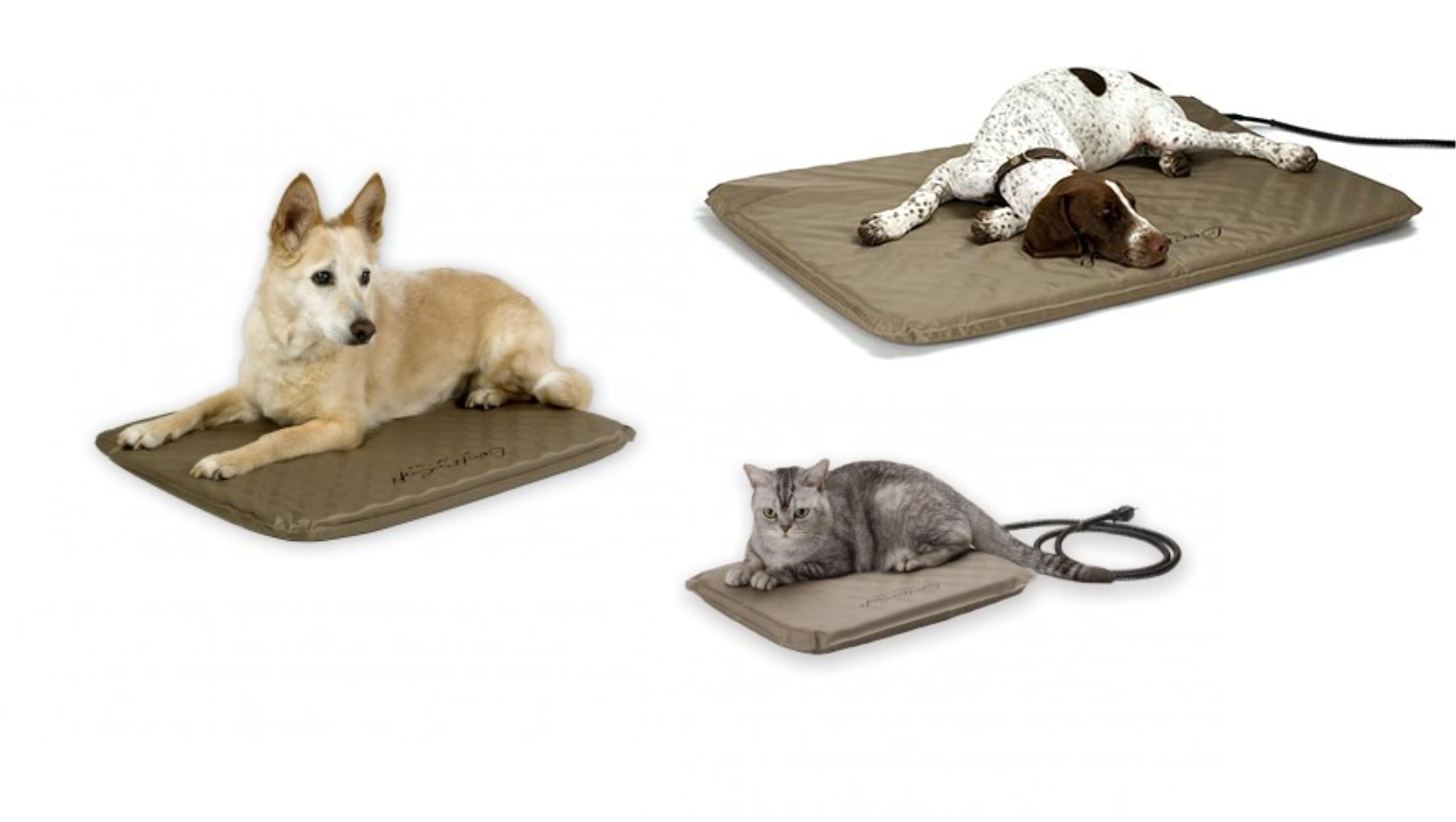 Lectro-Soft Heated Pet Bed - All Sizes