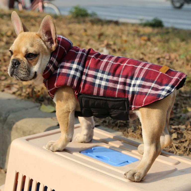 Kuoser Reversible Warm Waterproof Dog Jacket