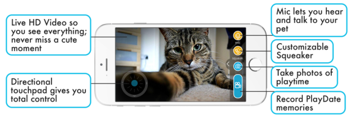 Playdate Pet Smart Ball - Smartphone App