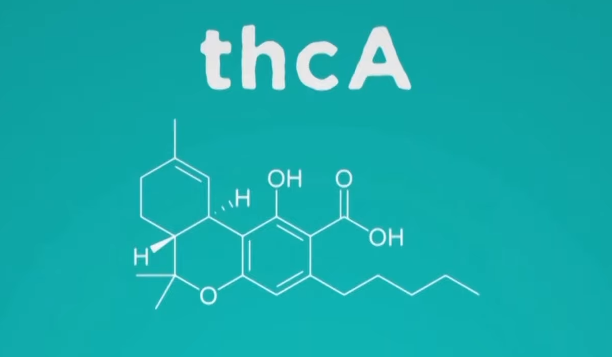 Ardent Nova - THCa Molecule (Percursor Form)