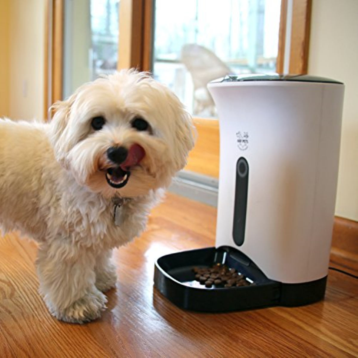 Arf Pets Automatic Pet Feeder