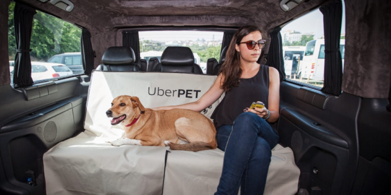 Uber Pet Vehicle Option