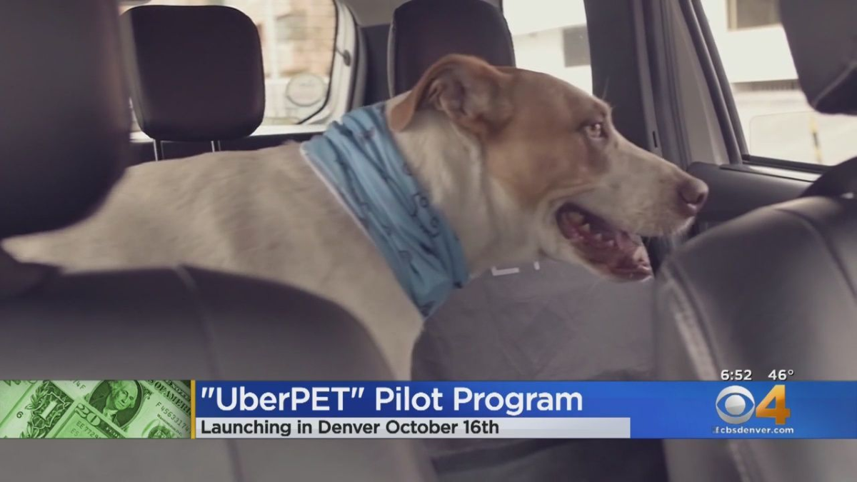 Uber Pet Feature - Release