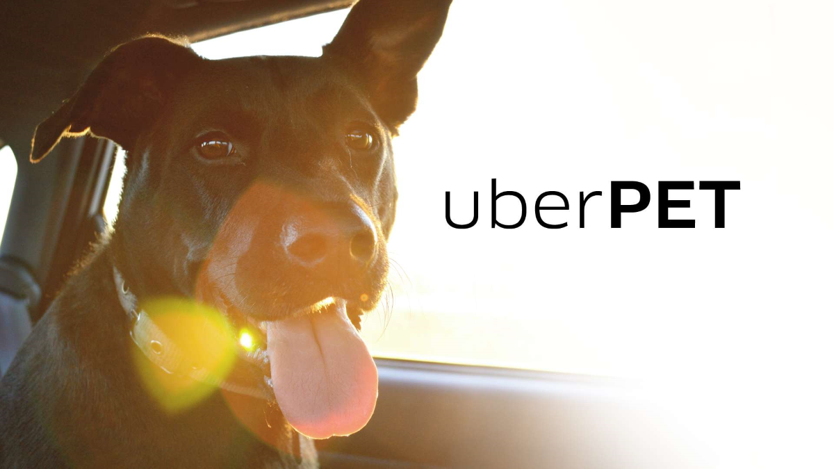 uber and pets