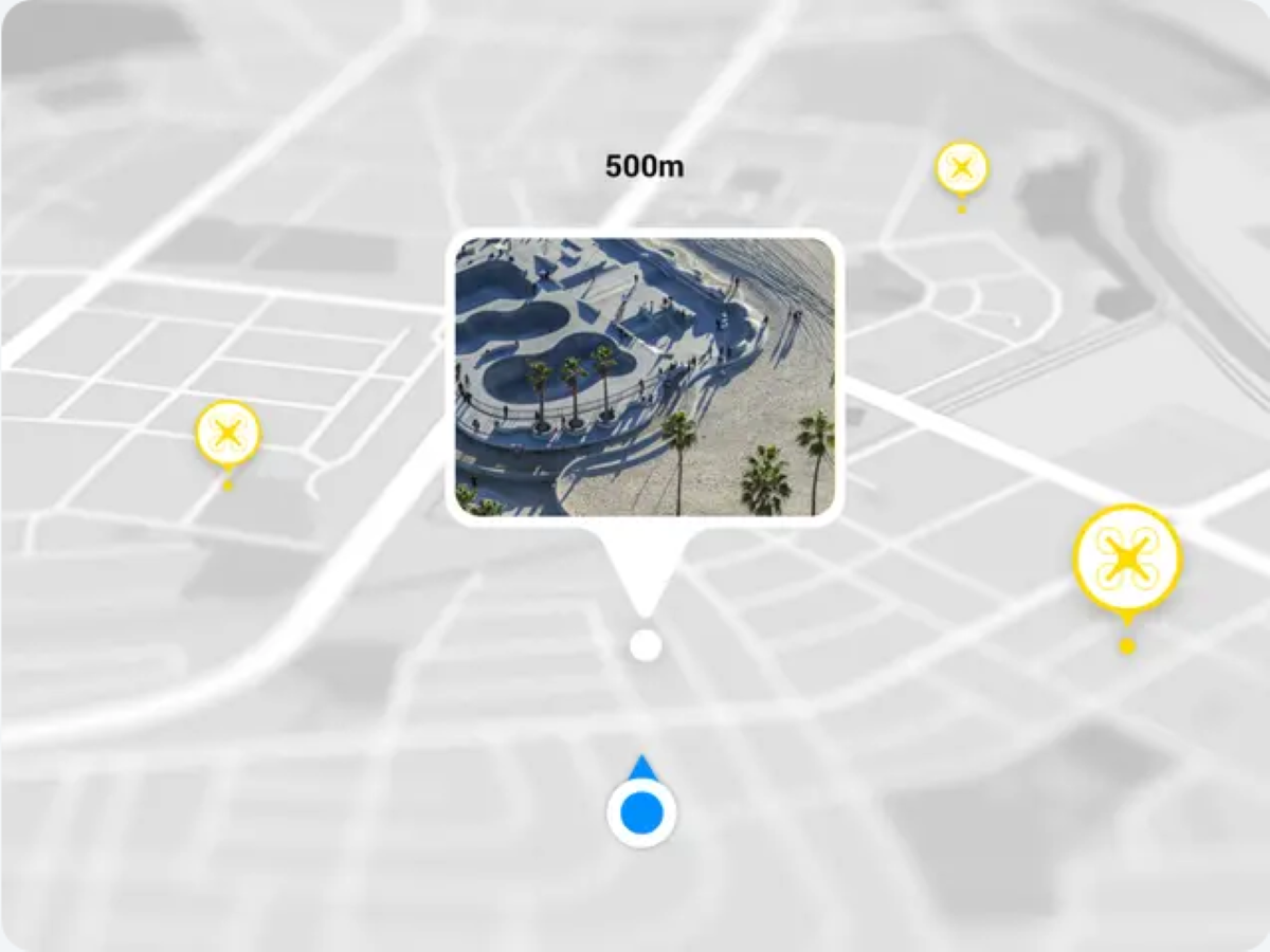 Mavic Mini - Smartphone App