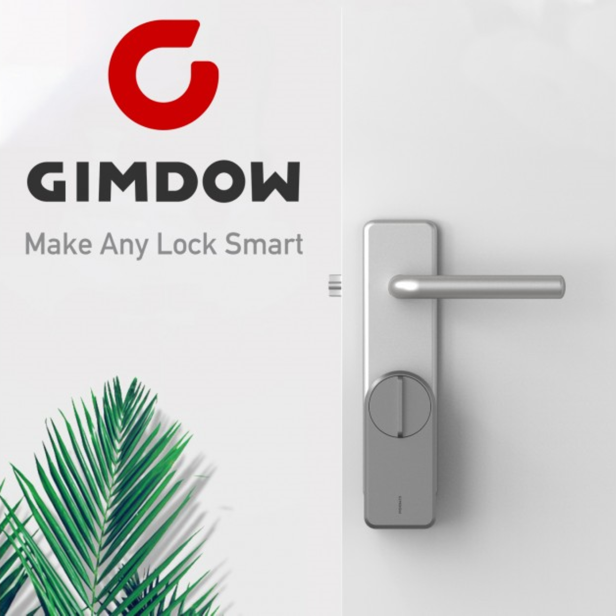 Gimdow Retrofit Smart Door Locks