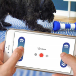 1. GoBone Interactive Dog Toy (10)