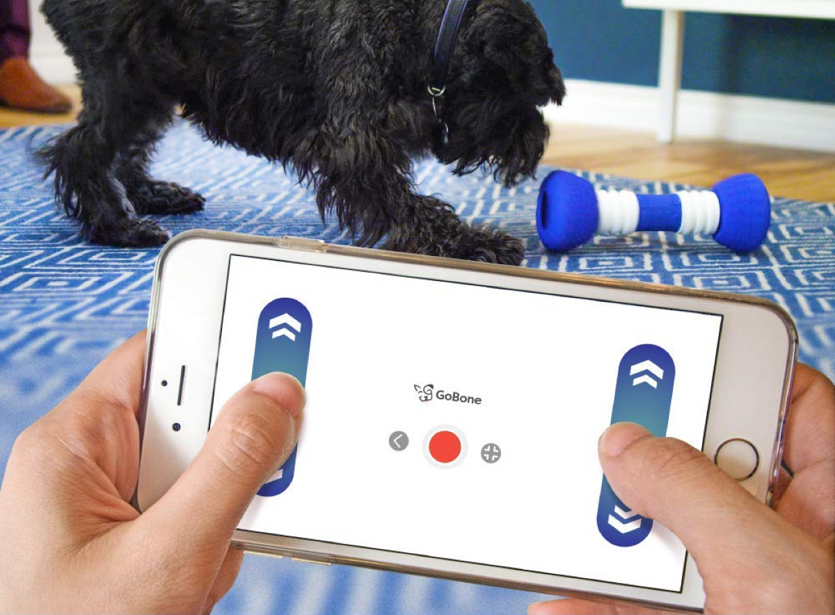 GoBone Interactive Dog Toy - Easily Controlled via its Smartphone App