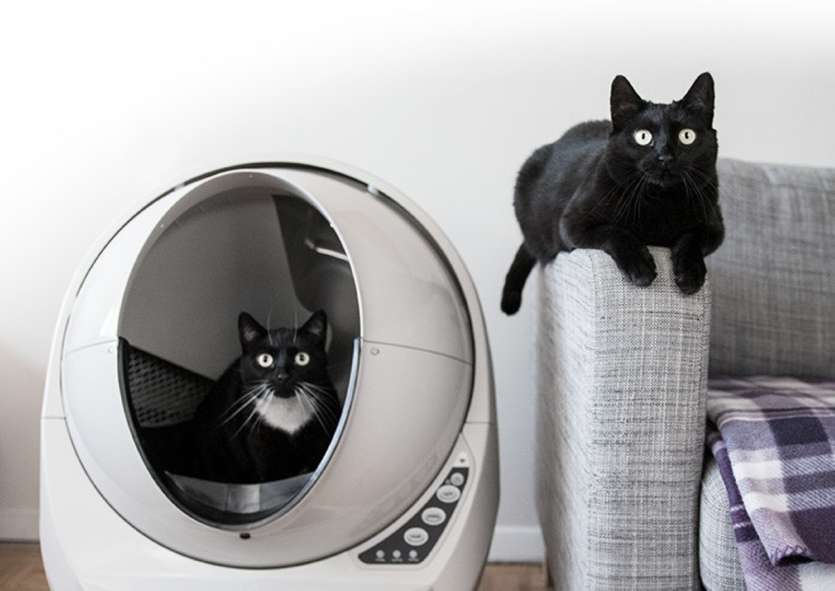 Litter-Robot 3 Connect - Great for Multiple Cats