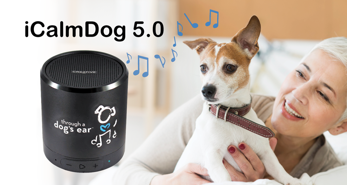 iCalmDog 5.0 Speaker (for dogs)