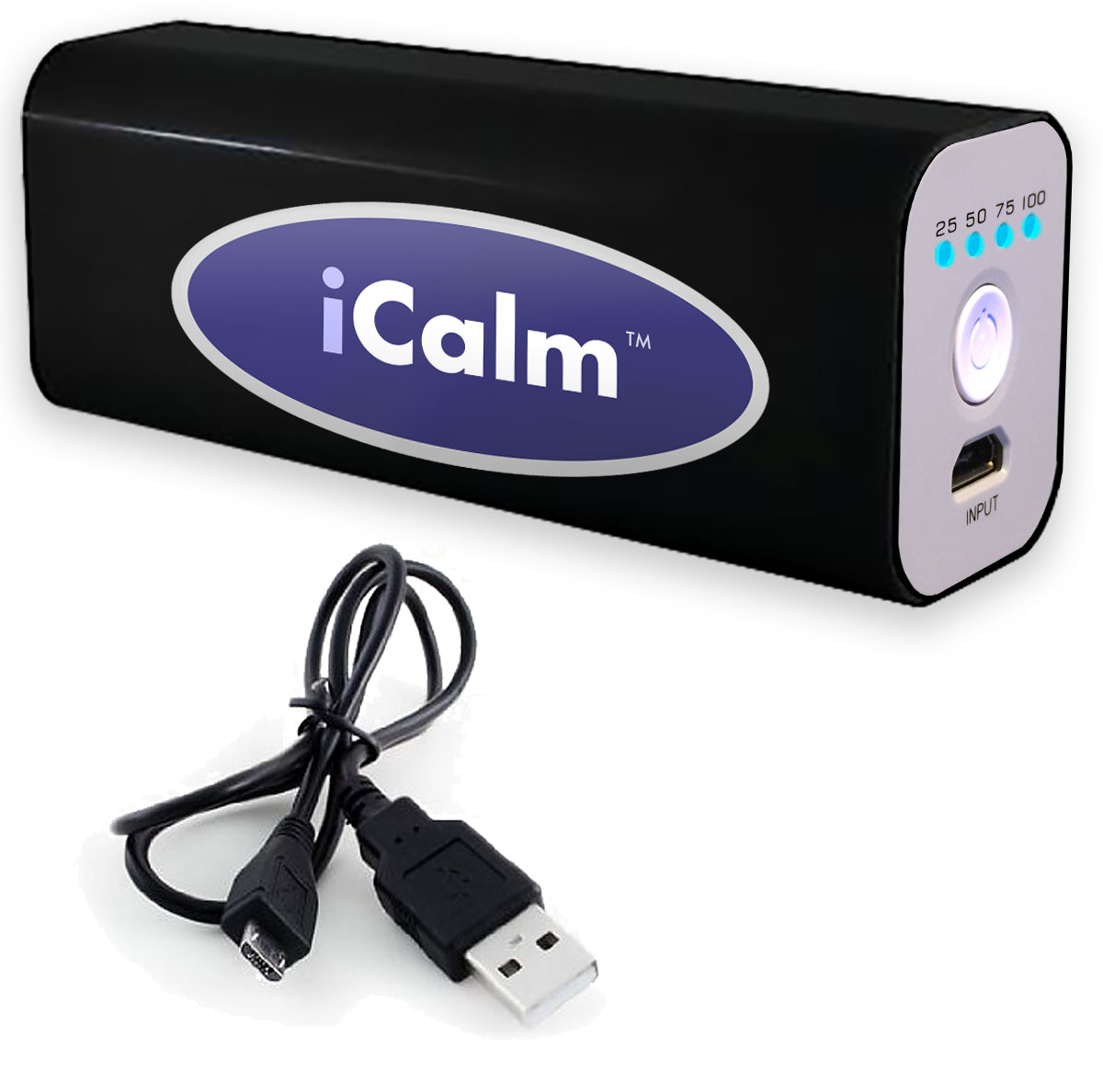 iCalm Speaker's Portable Power Bank