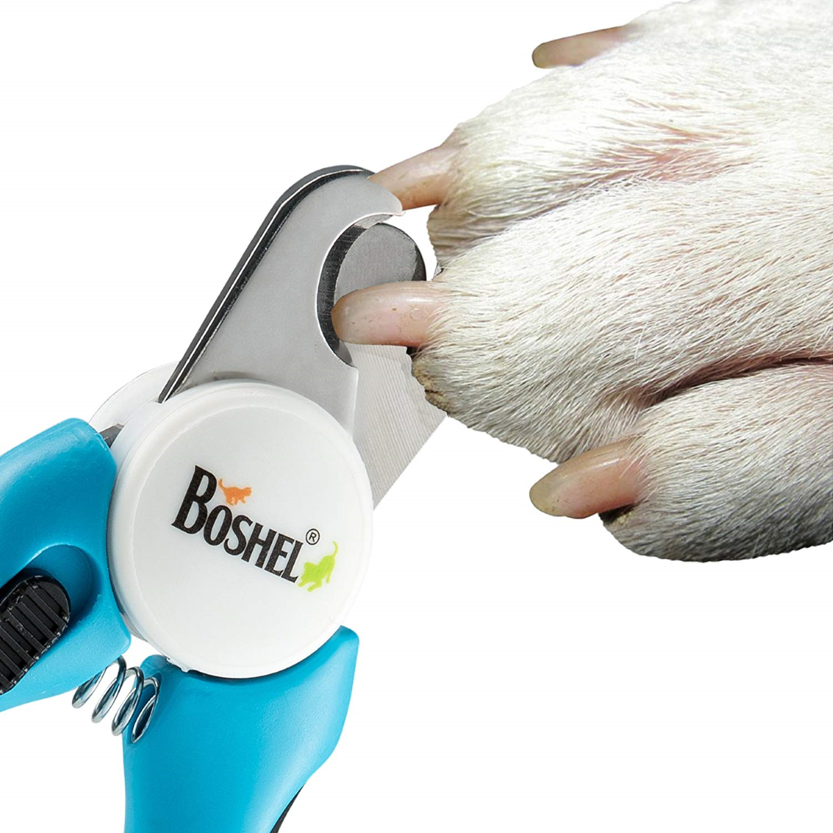 Quick, Clean and Safe Pet Nail Grooming Experience