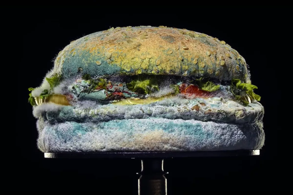 Burger King’s new TV ad - The Moldy Whopper