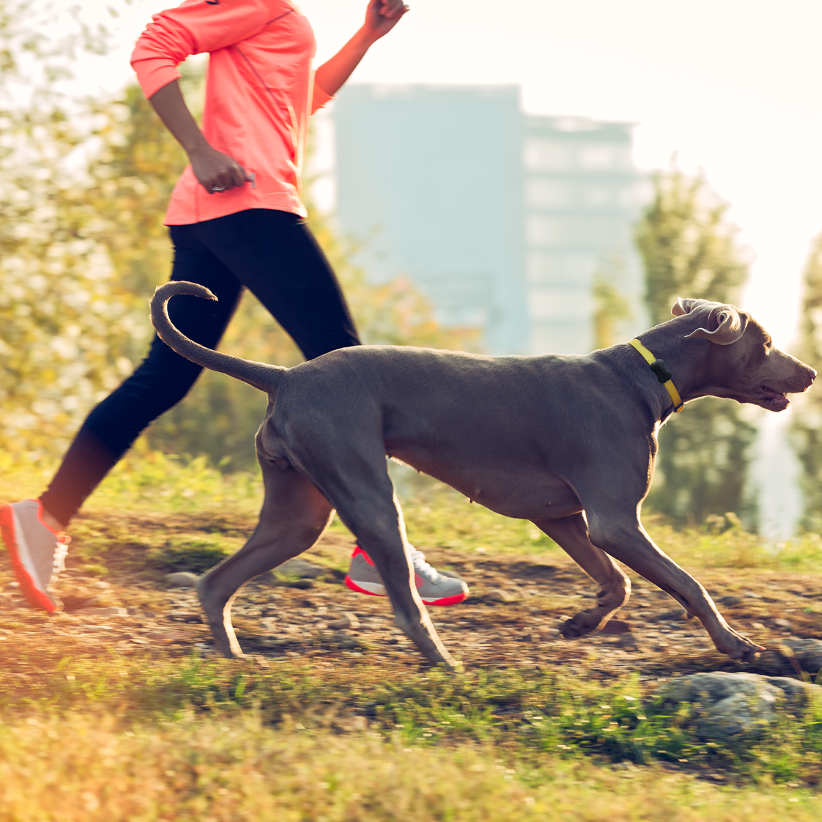 FitBark Dog GPS & Health App - Offers both dog owners and their dogs motivation to stay active and healthy.