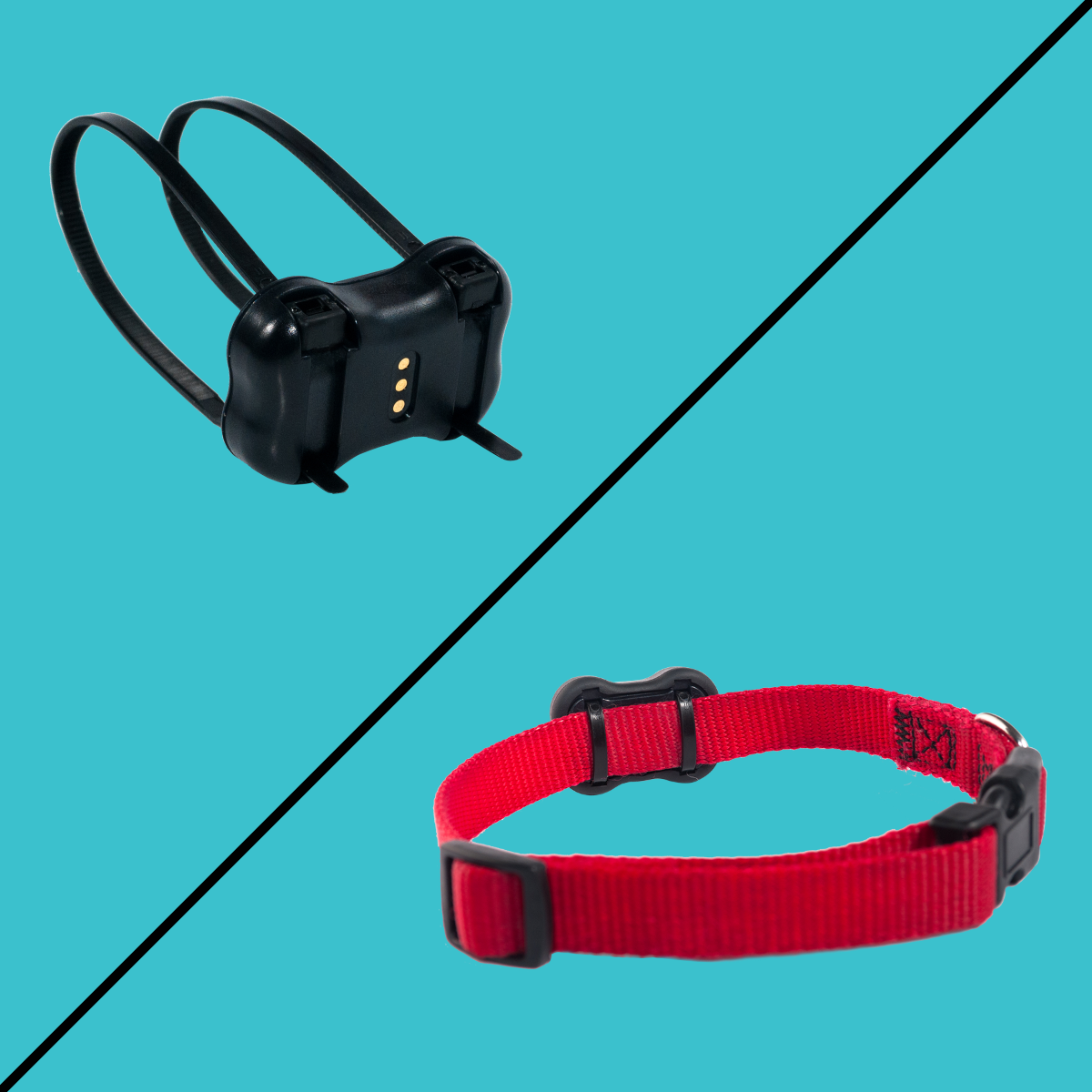 Easily attachable to your dog's collars with the help of the included Zip Ties