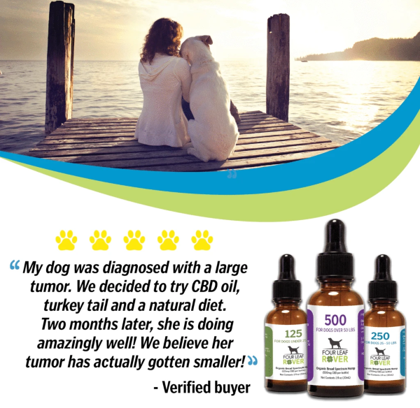 CBD Oil for Dogs