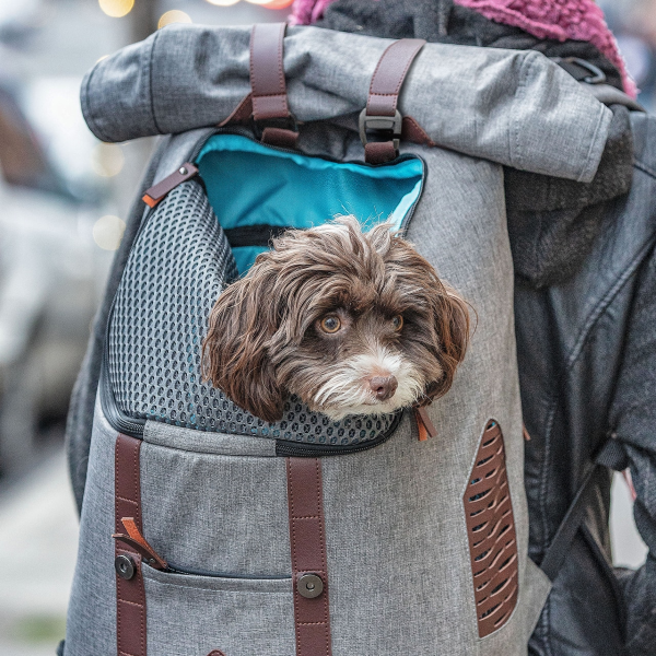 Kurgo K9 Rucksack