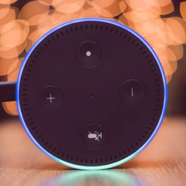 Amazon Alexa & Google Assistant Support