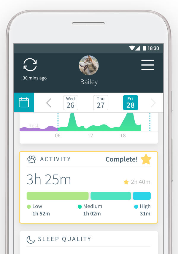 Activity Tracking