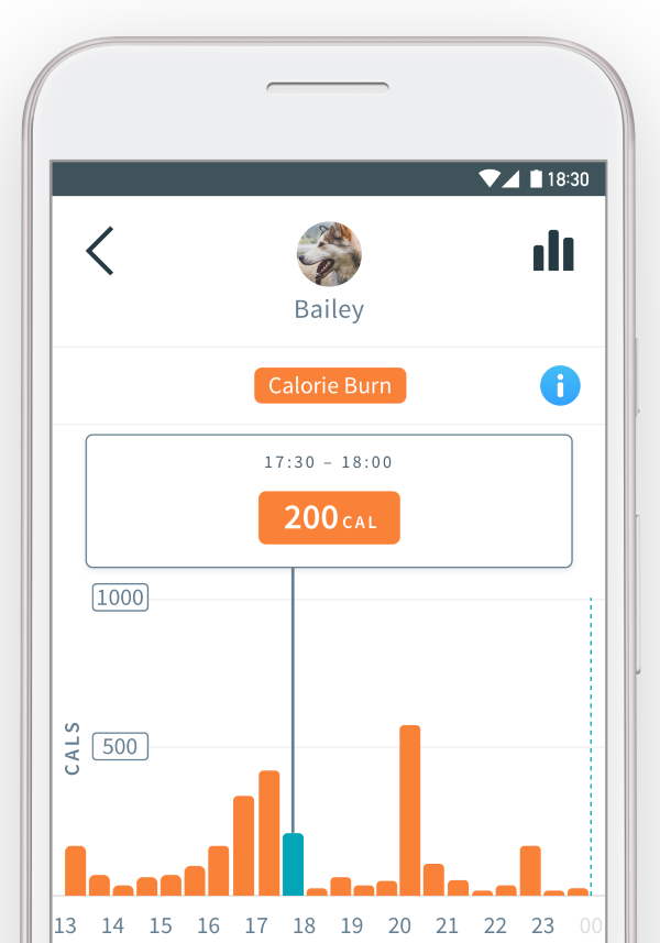 Calories Tracking