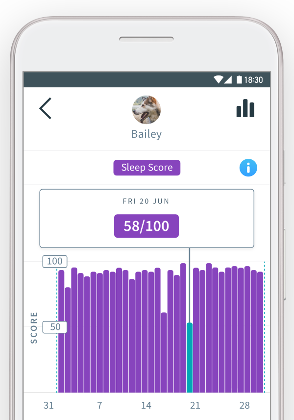 Sleep Tracking