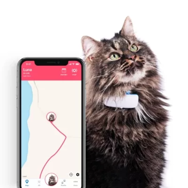 Tractive IKATI GPS Cat Tracker – No. 1 GPS Tracker for Cats