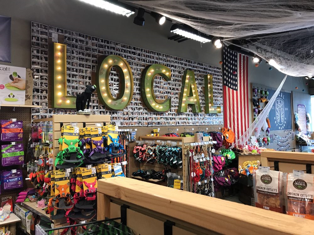 Community Connections: Local Pet Shops for Every Pet’s Needs