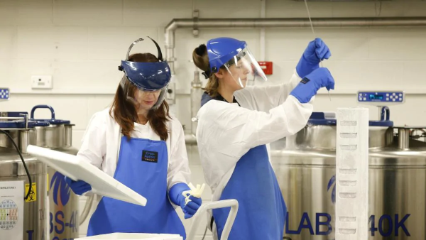 Professor Kedzierska and Dr van de Sandt preparing multiple frozen blood samples. ~Picture by: David Caird