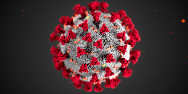 COVID-19 - Coronavirus Strain Mutation