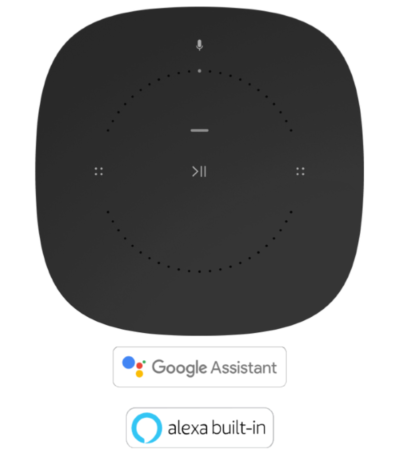 Voice Assistant Support for the Google Assistant and Amazon Alexa